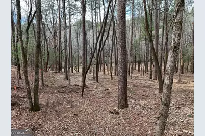 Lot 44B Synacia Drive, Mineral Bluff, GA 30559 - Photo 23