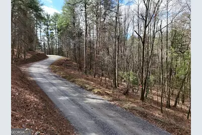 Lot 44B Synacia Drive, Mineral Bluff, GA 30559 - Photo 17