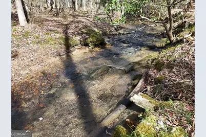 Lot 44B Synacia Drive, Mineral Bluff, GA 30559 - Photo 15