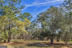 6501 Harley Trail, Blackshear, GA 31516 - Photo 61