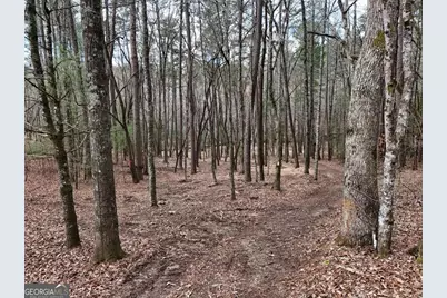 Lot 45B Synacia Drive, Mineral Bluff, GA 30559 - Photo 21