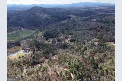 Lot 45B Synacia Drive, Mineral Bluff, GA 30559 - Photo 31