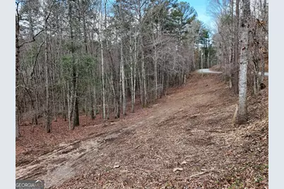 Lot 45B Synacia Drive, Mineral Bluff, GA 30559 - Photo 17