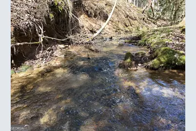 Lot 45B Synacia Drive, Mineral Bluff, GA 30559 - Photo 5