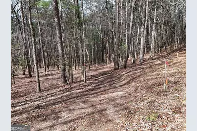 Lot 45B Synacia Drive, Mineral Bluff, GA 30559 - Photo 19