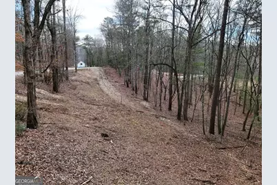 Lot 45B Synacia Drive, Mineral Bluff, GA 30559 - Photo 19