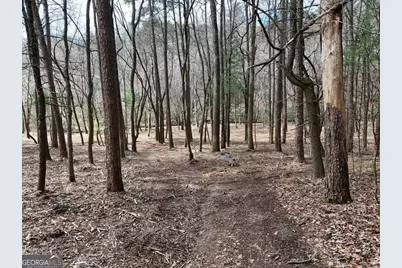 Lot 45B Synacia Drive, Mineral Bluff, GA 30559 - Photo 3