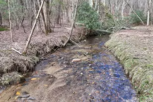 Lot 45B Synacia Dr, Mineral Bluff, GA 30559 - Photo 1