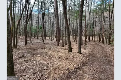 Lot 45B Synacia Drive, Mineral Bluff, GA 30559 - Photo 23