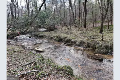 Lot 45B Synacia Drive, Mineral Bluff, GA 30559 - Photo 13