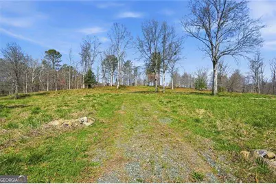 2201 Long Road, Ball Ground, GA 30107 - Photo 3