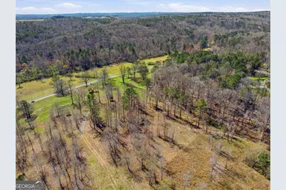 2201 Long Road, Ball Ground, GA 30107 - Photo 9