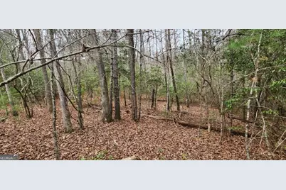 9.95Ac Hicks Gap Road, Blairsville, GA 30512 - Photo 15