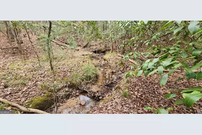 9.95Ac Hicks Gap Road, Blairsville, GA 30512 - Photo 5