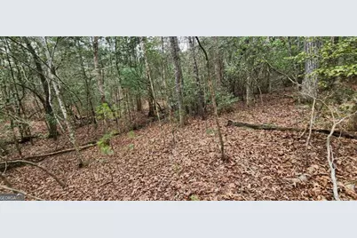 9.95Ac Hicks Gap Road, Blairsville, GA 30512 - Photo 13