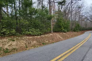 9 95Ac Hicks Gap Rd, Blairsville, GA 30512 - Photo 1