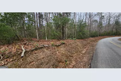 9.95Ac Hicks Gap Road, Blairsville, GA 30512 - Photo 3