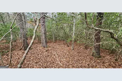 9.95Ac Hicks Gap Road, Blairsville, GA 30512 - Photo 17