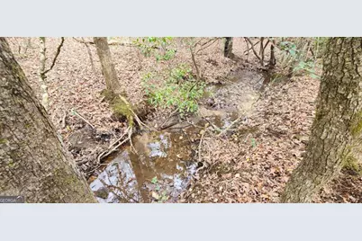 9.95Ac Hicks Gap Road, Blairsville, GA 30512 - Photo 7