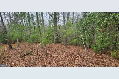 9.95Ac Hicks Gap Road, Blairsville, GA 30512 - Photo 11