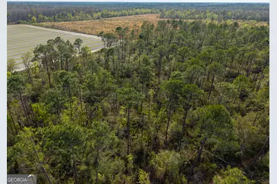 5536 N Hickory Grove Road, Valdosta, GA 31606 - Photo 41