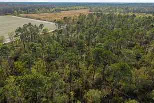 5536 N Hickory Grove Rd, Valdosta, GA 31606 - Photo 41