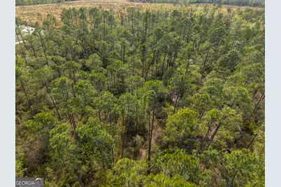 5536 N Hickory Grove Road, Valdosta, GA 31606 - Photo 43