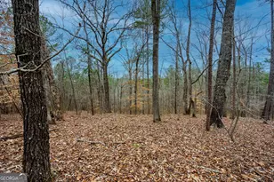 295 Ferrell-Tatum Rd, Lagrange, GA 30240 - Photo 27