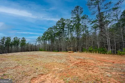 295 Ferrell Tatum Road, Lagrange, GA 30240 - Photo 31
