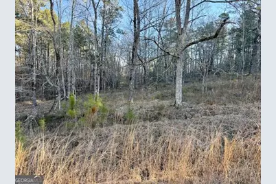 0 River Ridge Trail #396, Sparta, GA 31087 - Photo 1