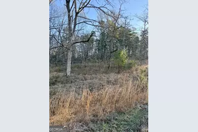 0 River Ridge Trail #396, Sparta, GA 31087 - Photo 3