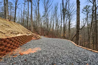 714 Monticello Drive #3241, Ellijay, GA 30540 - Photo 57