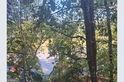 163 High Bluff Road, Baxley, GA 31513 - Photo 33