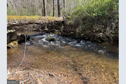 1162 Blacks Creek Drive, Clayton, GA 30525 - Photo 33