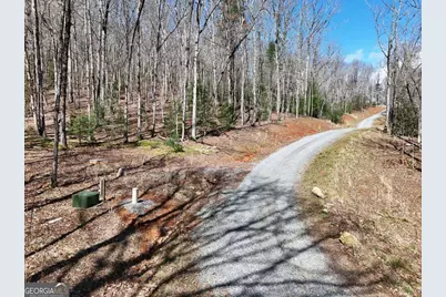 Lot 15 Native Trail, Blue Ridge, GA 30513 - Photo 3