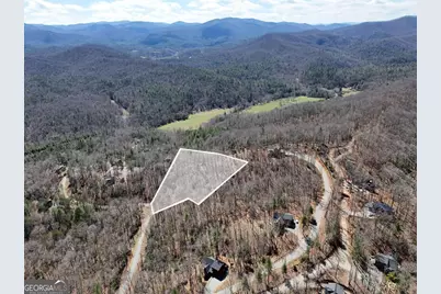Lot 15 Native Trail, Blue Ridge, GA 30513 - Photo 9