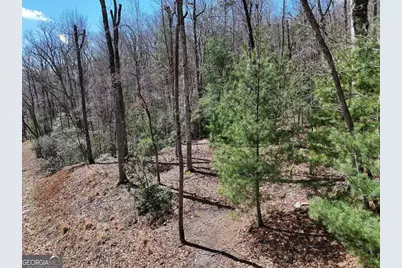 Lot 15 Native Trail, Blue Ridge, GA 30513 - Photo 1
