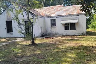 294 W Brumby Ave, Reidsville, GA 30453 - Photo 1