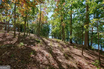 6655 Sweetwater Point, Flowery Branch, GA 30542 - Photo 69