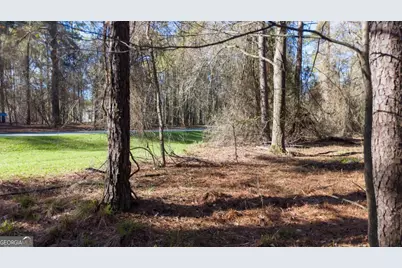 1760 Snug Harbor Drive, Greensboro, GA 30642 - Photo 5