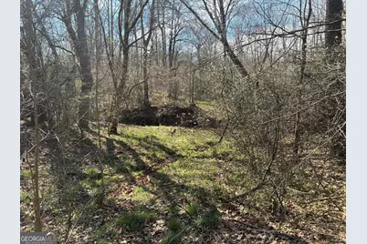 802 Lane Road, Monticello, GA 31064 - Photo 11