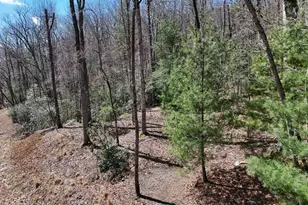 Lot 9 Native Trail, Blue Ridge, GA 30513 - Photo 1