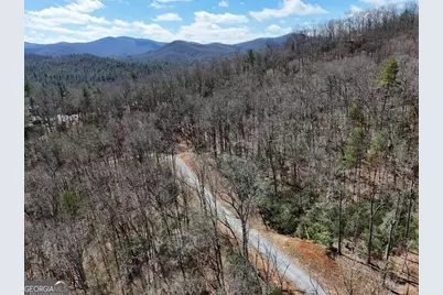 Lot 9 Native Trail, Blue Ridge, GA 30513 - Photo 7