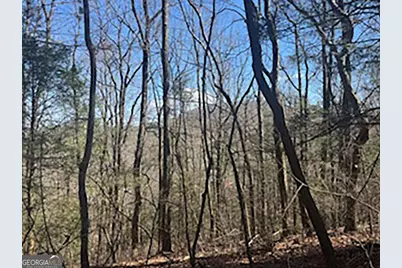 Lot 14 Butler Creek Road, Cherrylog, GA 30552 - Photo 3