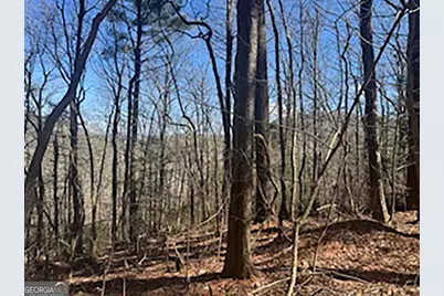 Lot 14 Butler Creek Road, Cherrylog, GA 30552 - Photo 7