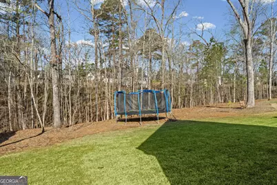 161 Snug Harbor Place, Newnan, GA 30263 - Photo 47