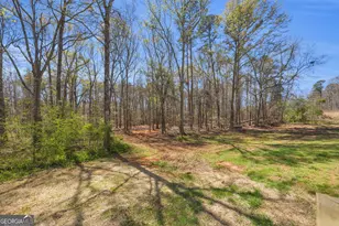 421 Williams Wilson Rd, Hull, GA 30646 - Photo 47