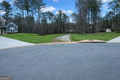 63 Whites Pond Road, Moreland, GA 30259 - Photo 45