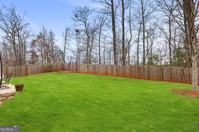 104 Stonebridge Blvd, Newnan, GA 30265 - Photo 43