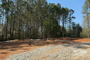 363 Laney Rd, McDonough, GA 30252 - Photo 1